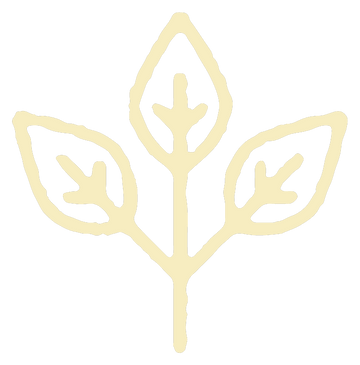 Organic Ingredients